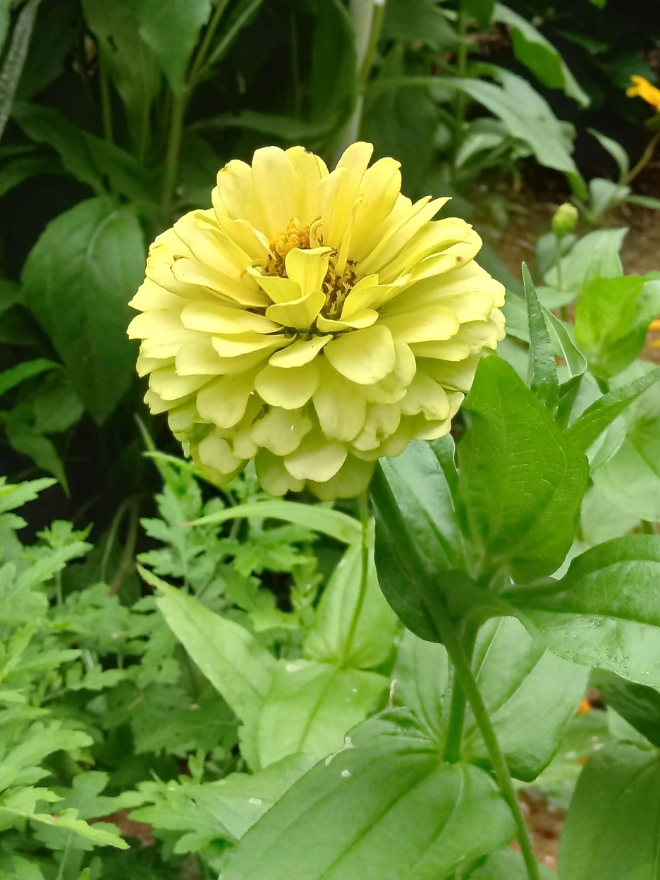 20190715_081425_HDR.jpg?type=w1