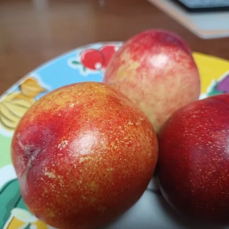 20220719_194517.jpg?type=w466