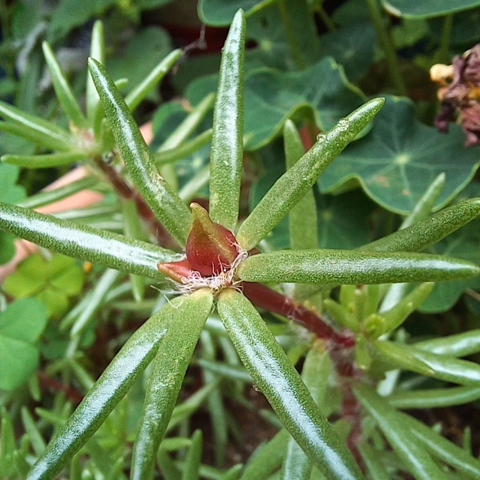 20220529_082415.jpg?type=w1