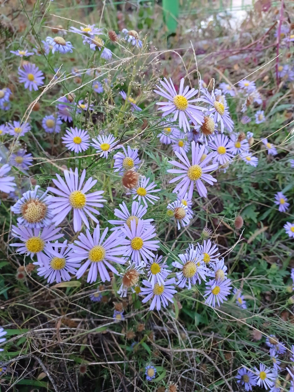 20221023_171644.jpg?type=w1