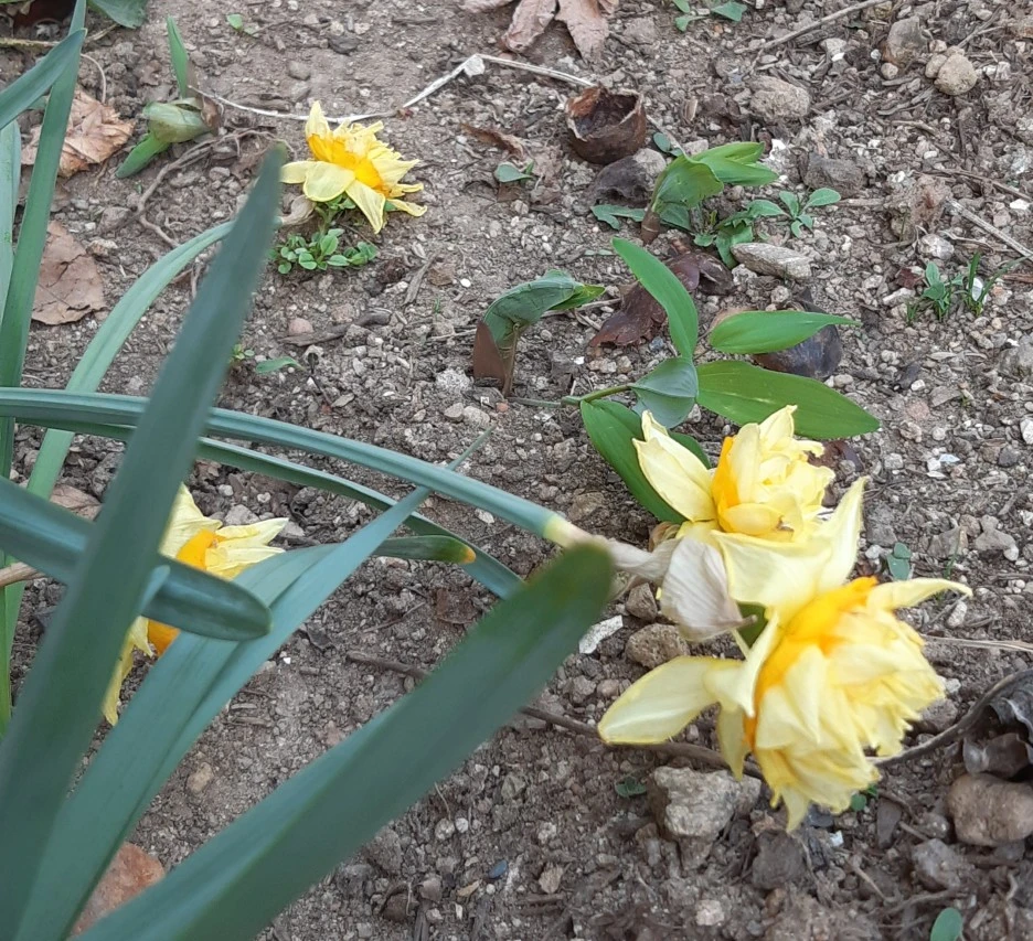 SE-b5b966f6-3a4d-45b2-bf2e-476e0b923d87.jpg?type=w1