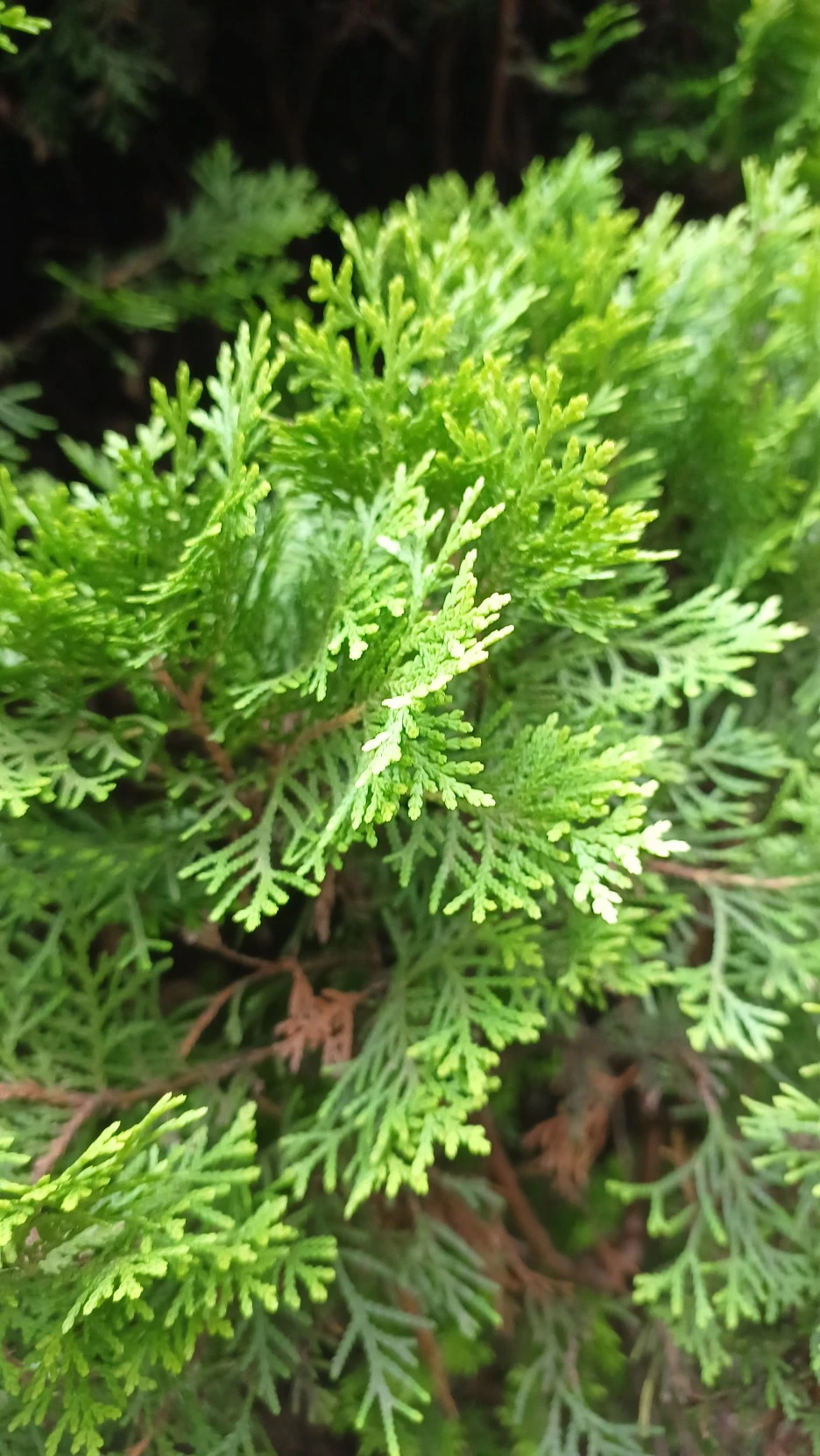 20220807_115317.jpg?type=w1