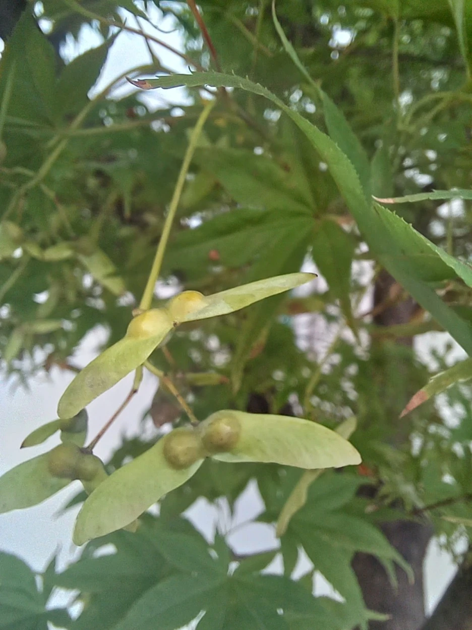 20220929_110907.jpg?type=w1