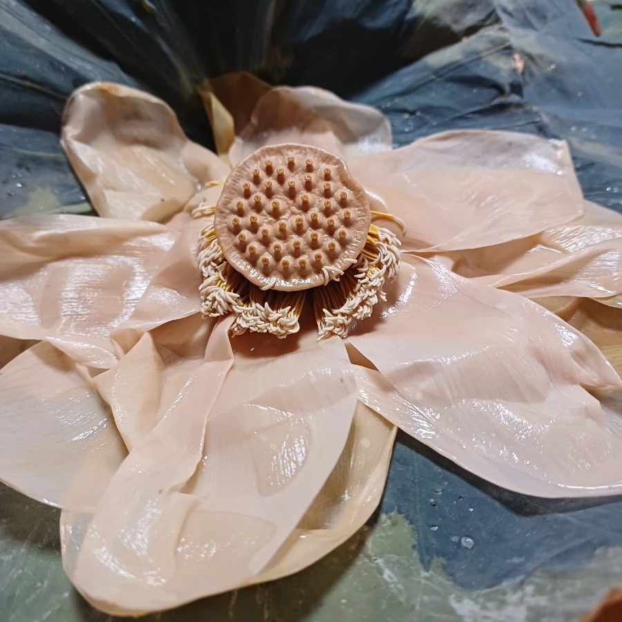 20220717%EF%BC%BF201408.jpg?type=w1