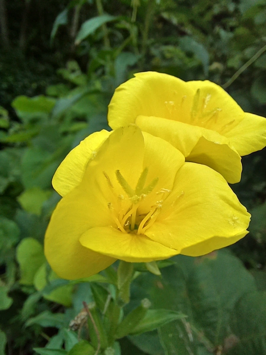 20220903%EF%BC%BF113839.jpg?type=w1