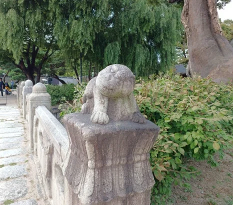 20241009_125215.jpg?type=w466