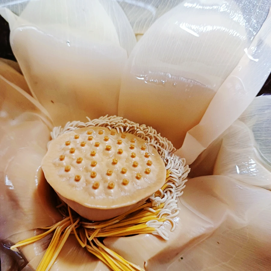 SE-3d5bf91f-0688-11ed-abe1-4d409e92a283.jpg?type=w1