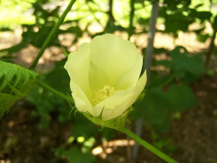 result_2006_8_6_11_59_29_640_35-lysook7.jpg?typew1