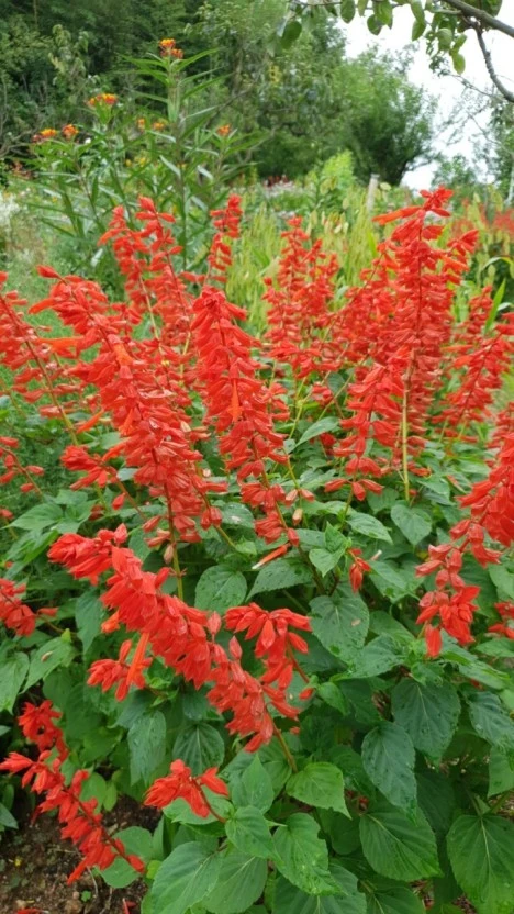 %EB%8B%A4%EC%9A%B4%EB%A1%9C%EB%93%9C_(2).jpg?typew1