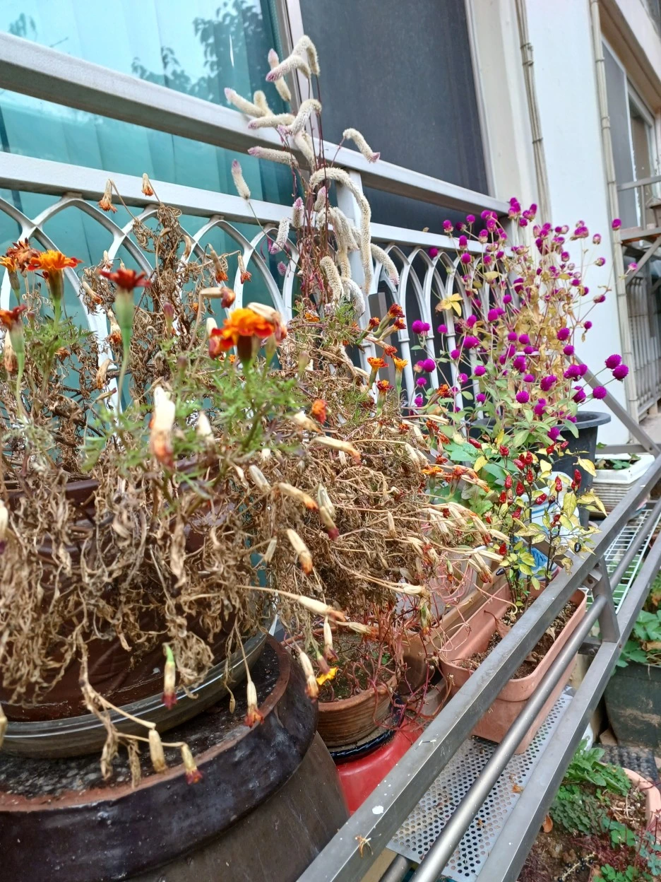 20221115_145059.jpg?typew1