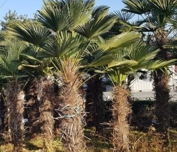 Screenshot 2022-09-29 at 18.15.26.JPG