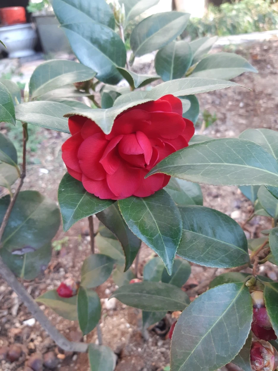 20220402_080812.jpg?type=w1