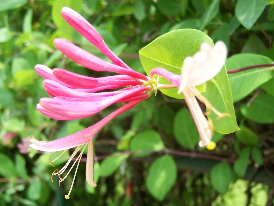 100_1769.jpg?type=w1