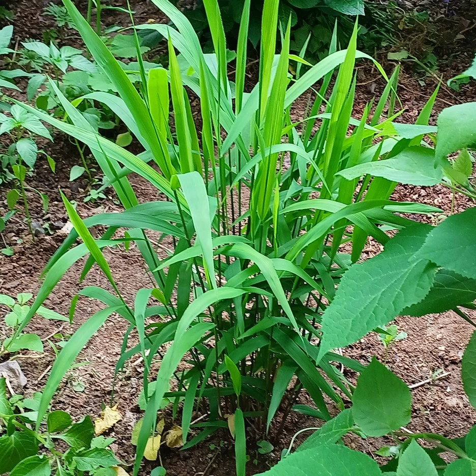 20220508_130230.jpg?type=w1