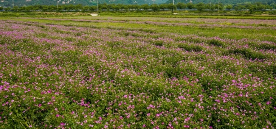 웹 캡처_1-3-2023_142820_blog.naver.com.jpeg