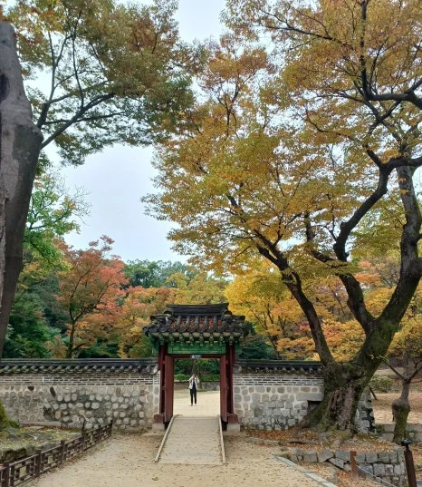 SE-3890ed17-2af8-478d-ae3b-0561149ae151.jpg?type=w466