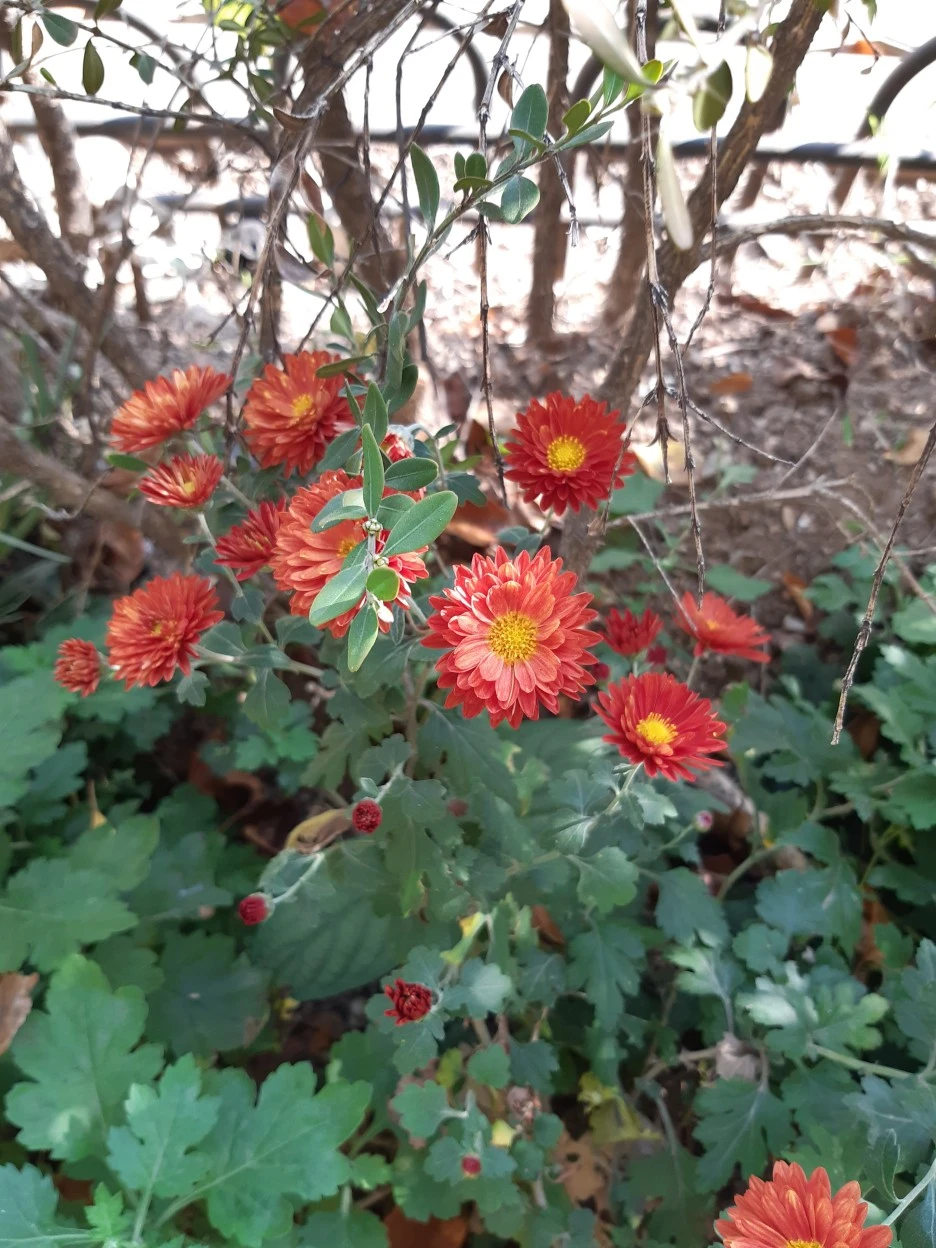 20201020_142717.jpg?type=w1