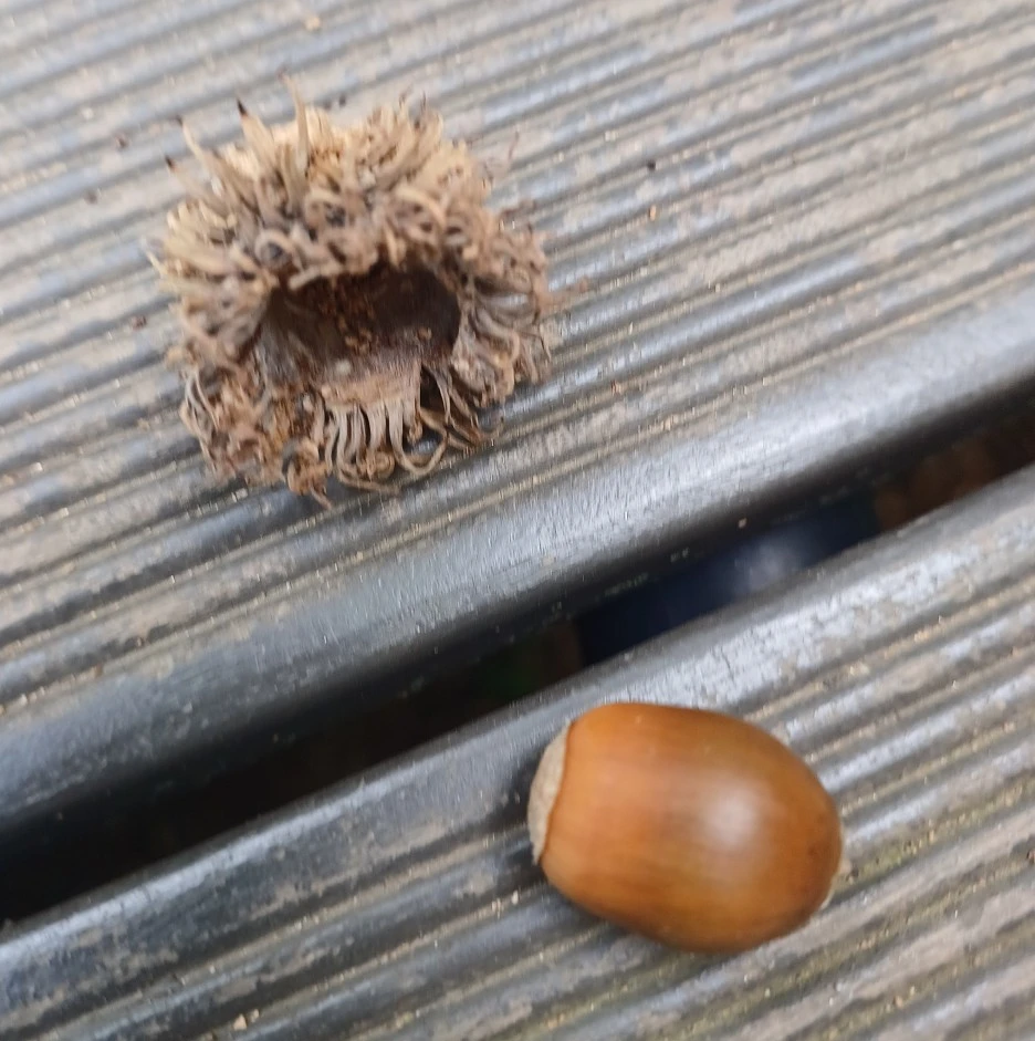 SE-607d2357-7561-4d78-adaf-af742a633c17.jpg?type=w1