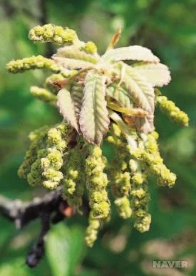 KWH_126_8.jpg?type=w1