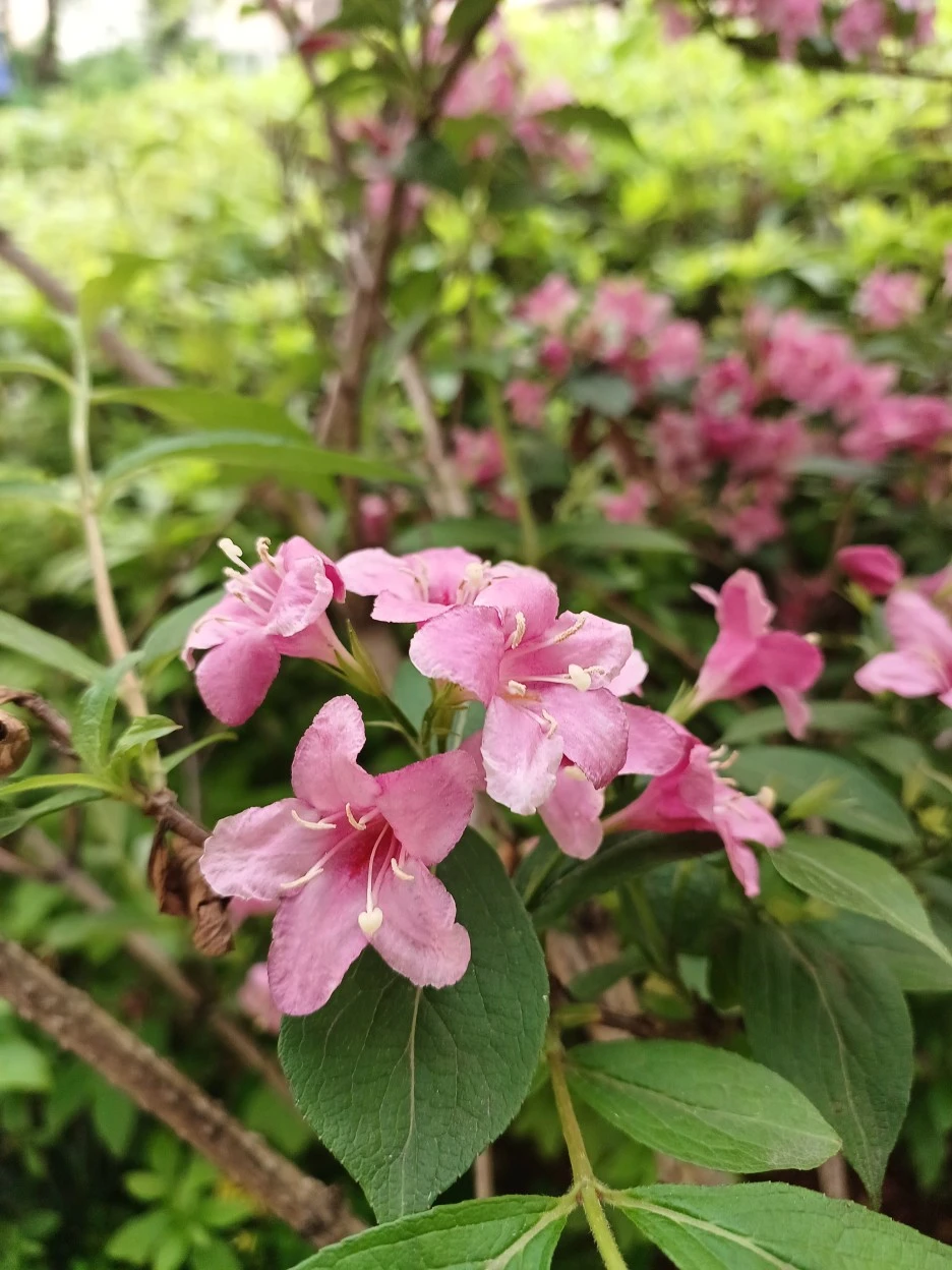 20230507_172333.jpg?type=w1