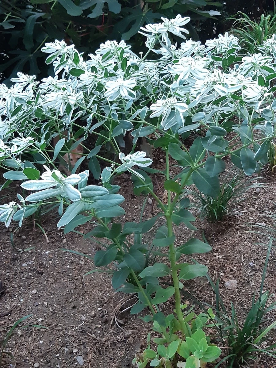 20210818%EF%BC%BF191349.jpg?type=w1