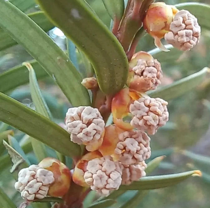 SE-fb6dcf45-9eb4-4d3d-adc2-c933f1dc0b42.jpg?type=w1