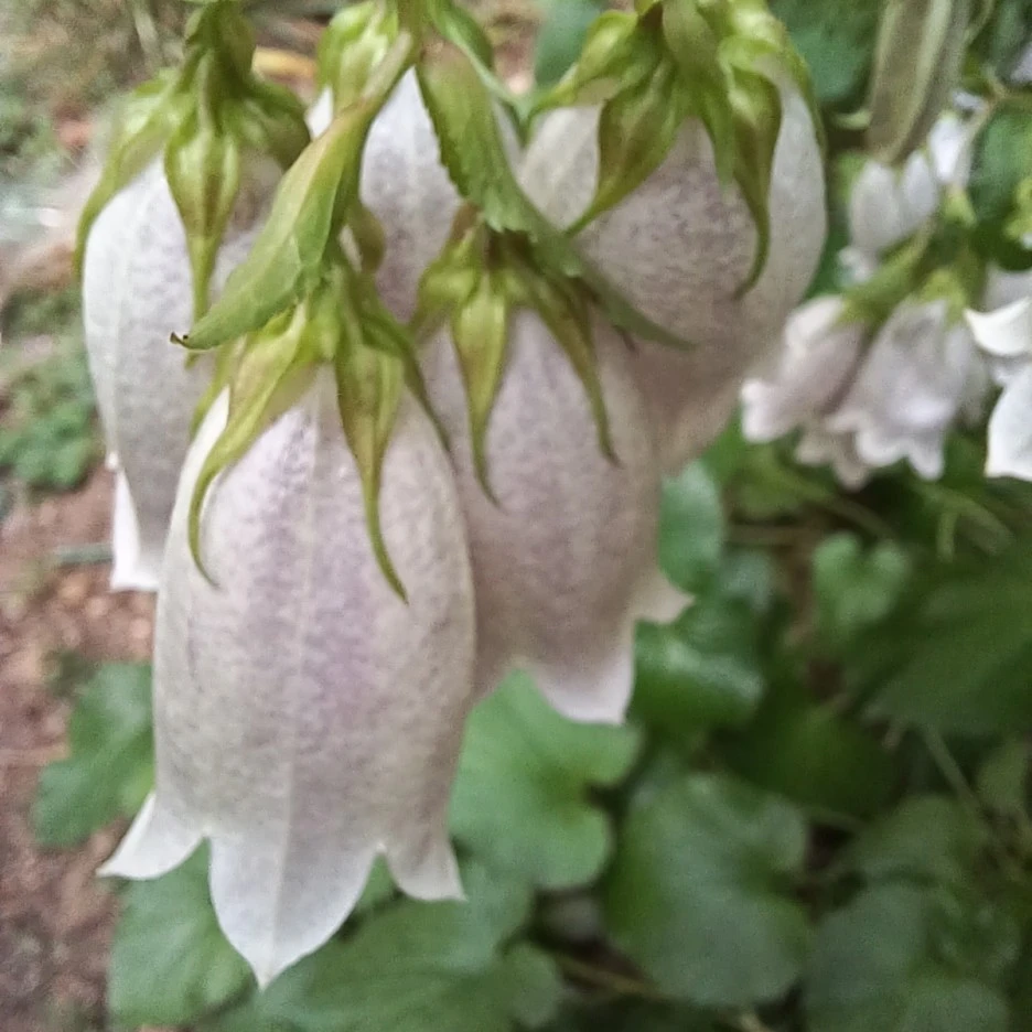 20220529_083149.jpg?type=w1