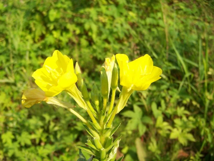 result_2006_8_6_12_16_53_578_15-lysook7.jpg?type=w1