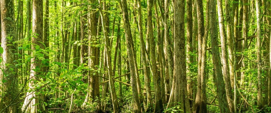 SE-0b4e875f-dfb8-4ca3-aa73-34cdc21b470b.jpg?type=w1