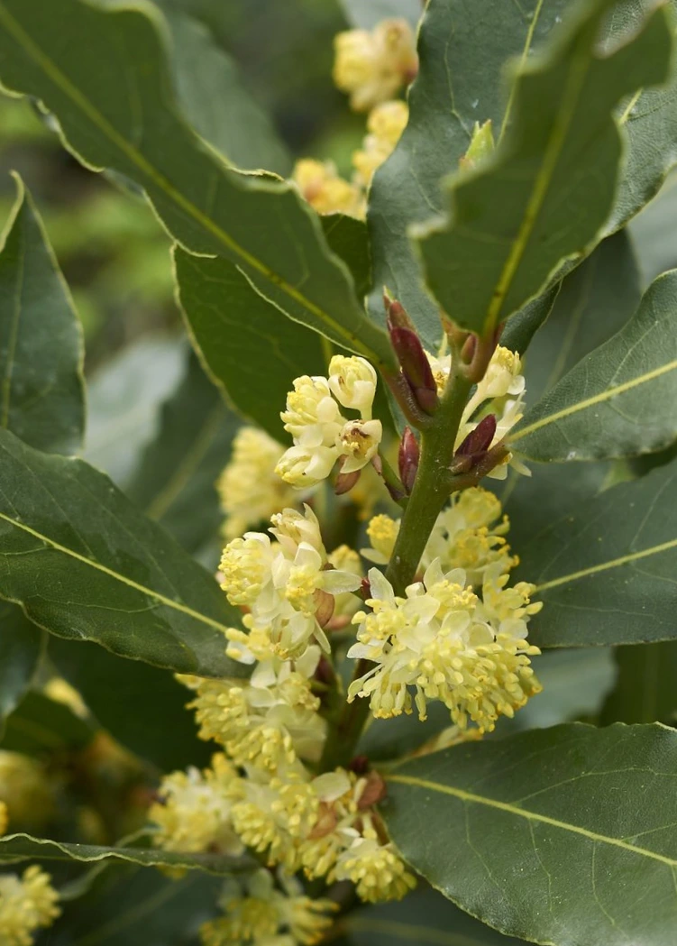 SE-66cde8f7-1bfe-431b-a35d-fcec01680b0c.jpg?type=w1