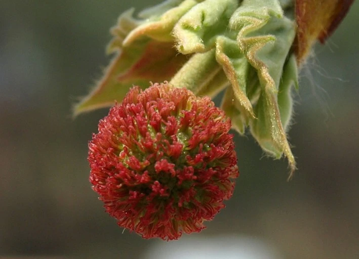 %EB%8B%A4%EC%9A%B4%EB%A1%9C%EB%93%9C.jpg?typew1