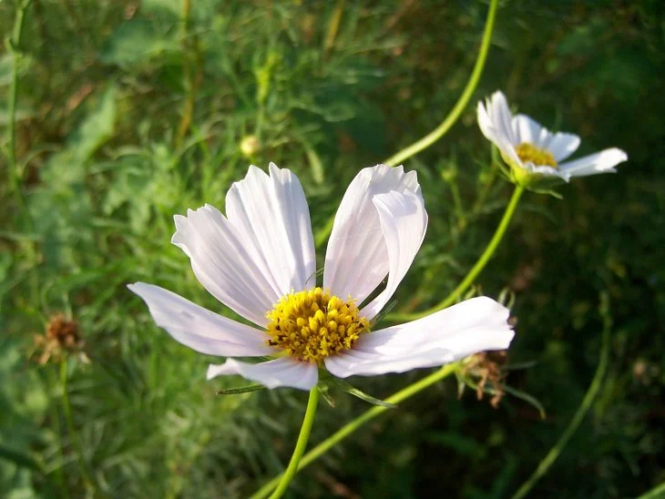 result_2006_8_6_11_30_33_937_26-lysook7.jpg?type=w1