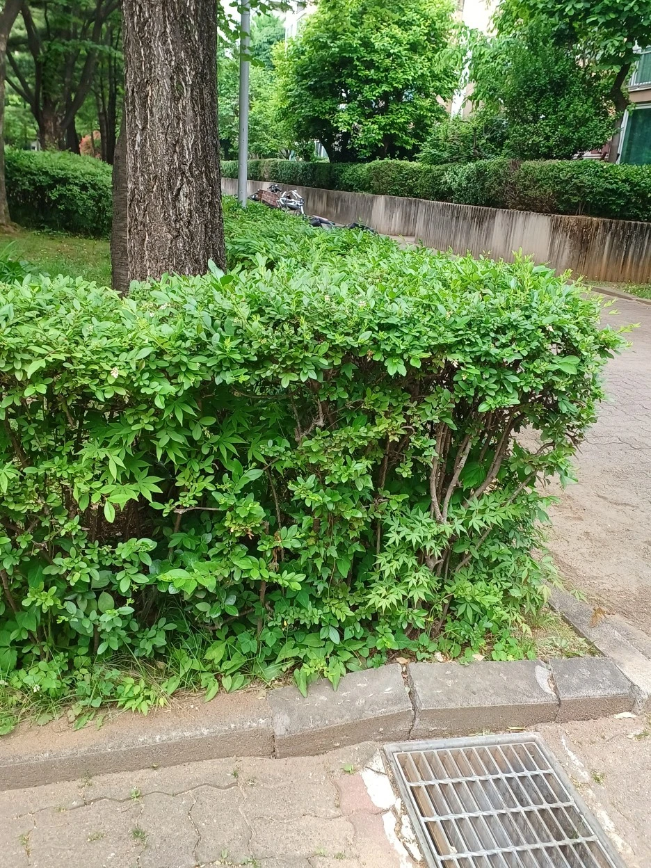 20230518_094420.jpg?type=w1