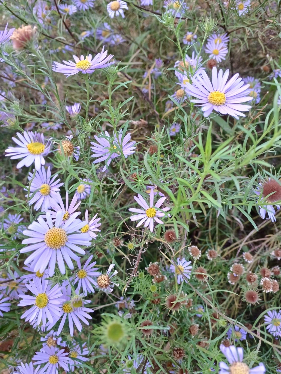 20221023_171742.jpg?type=w1