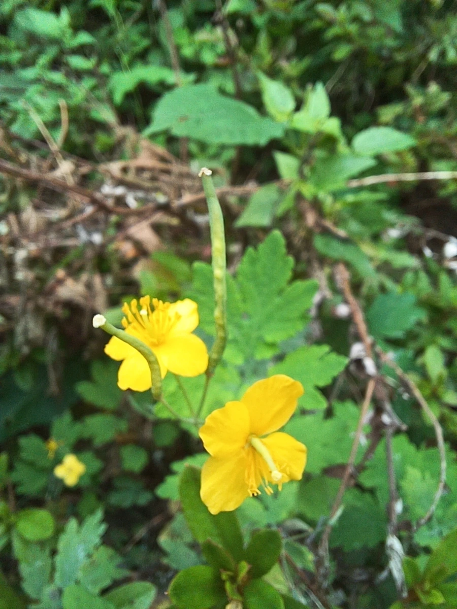 20220912%EF%BC%BF104414.jpg?type=w1