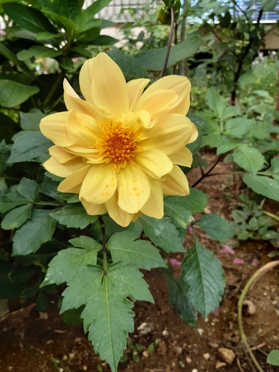 20201001_125250.jpg?type=w1