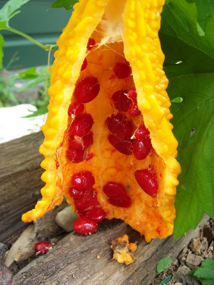 result_2006_8_1_17_16_36_312_9-lysook7.jpg?type=w1