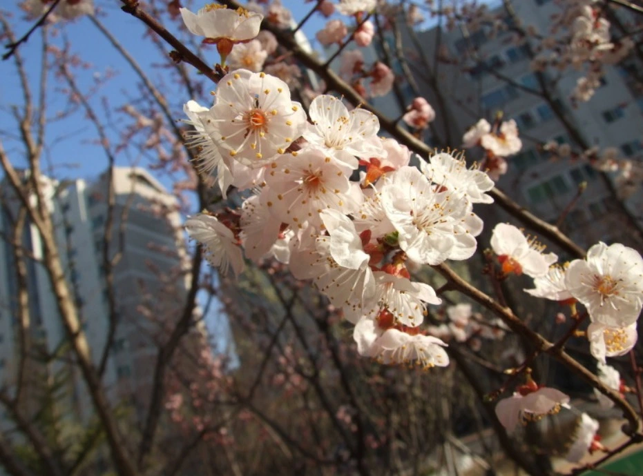 %EC%9B%B9_%EC%BA%A1%EC%B2%98_7-4-2022_81830_blog.daum.net.jpeg?type=w1