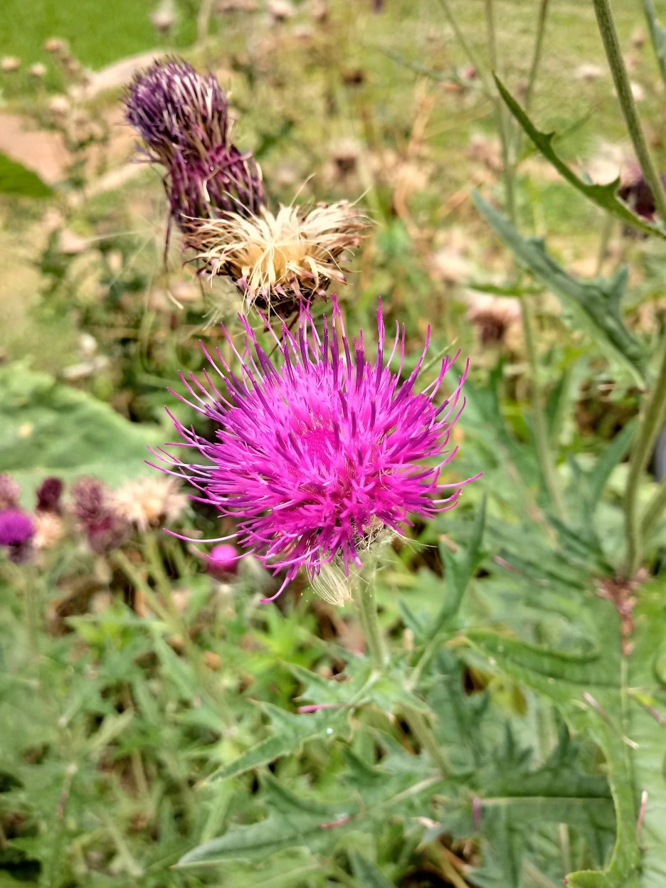 20180617_131125_HDR.jpg?type=w1