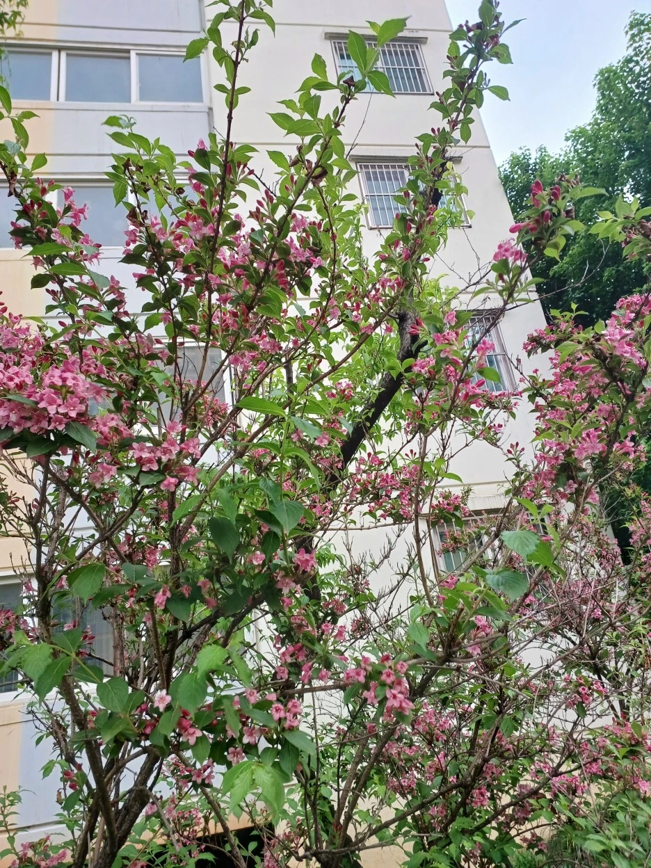 20230507_172616.jpg?type=w1