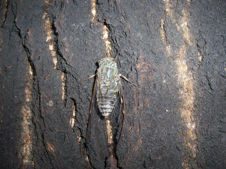 %EB%A7%A4%EB%AF%B81.jpg?type=w1