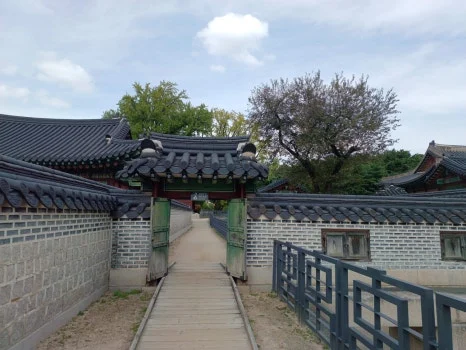 20241009_124342.jpg?type=w466