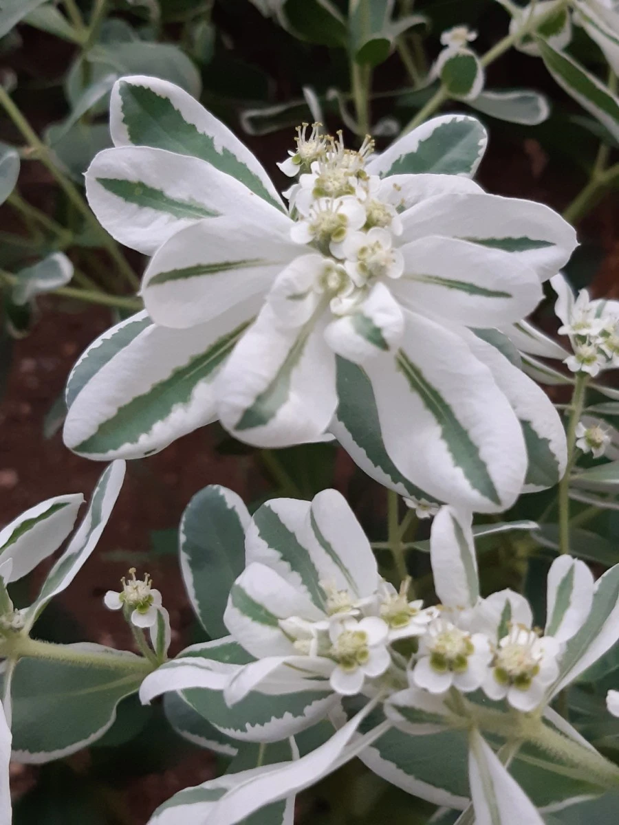 20210818%EF%BC%BF191408.jpg?type=w1