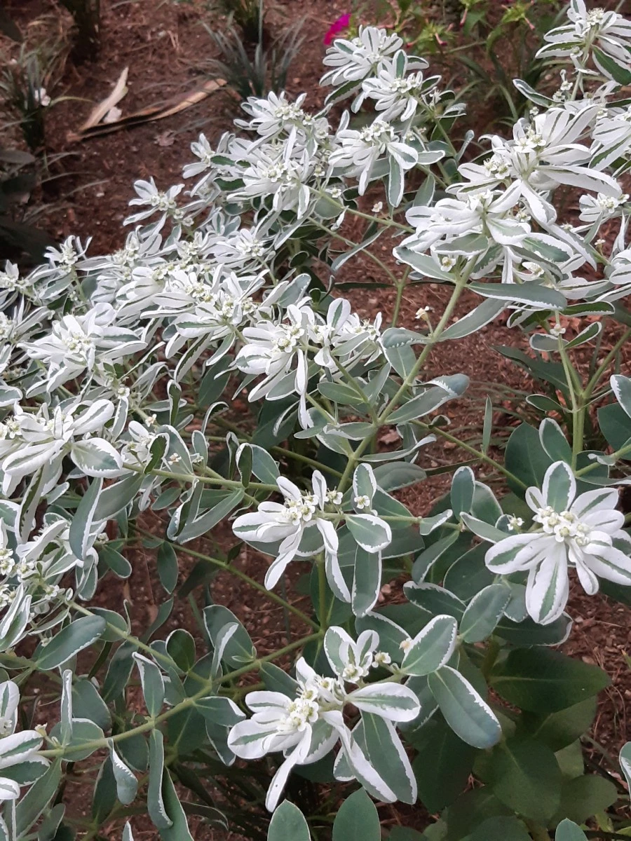 20210818%EF%BC%BF191328.jpg?type=w1