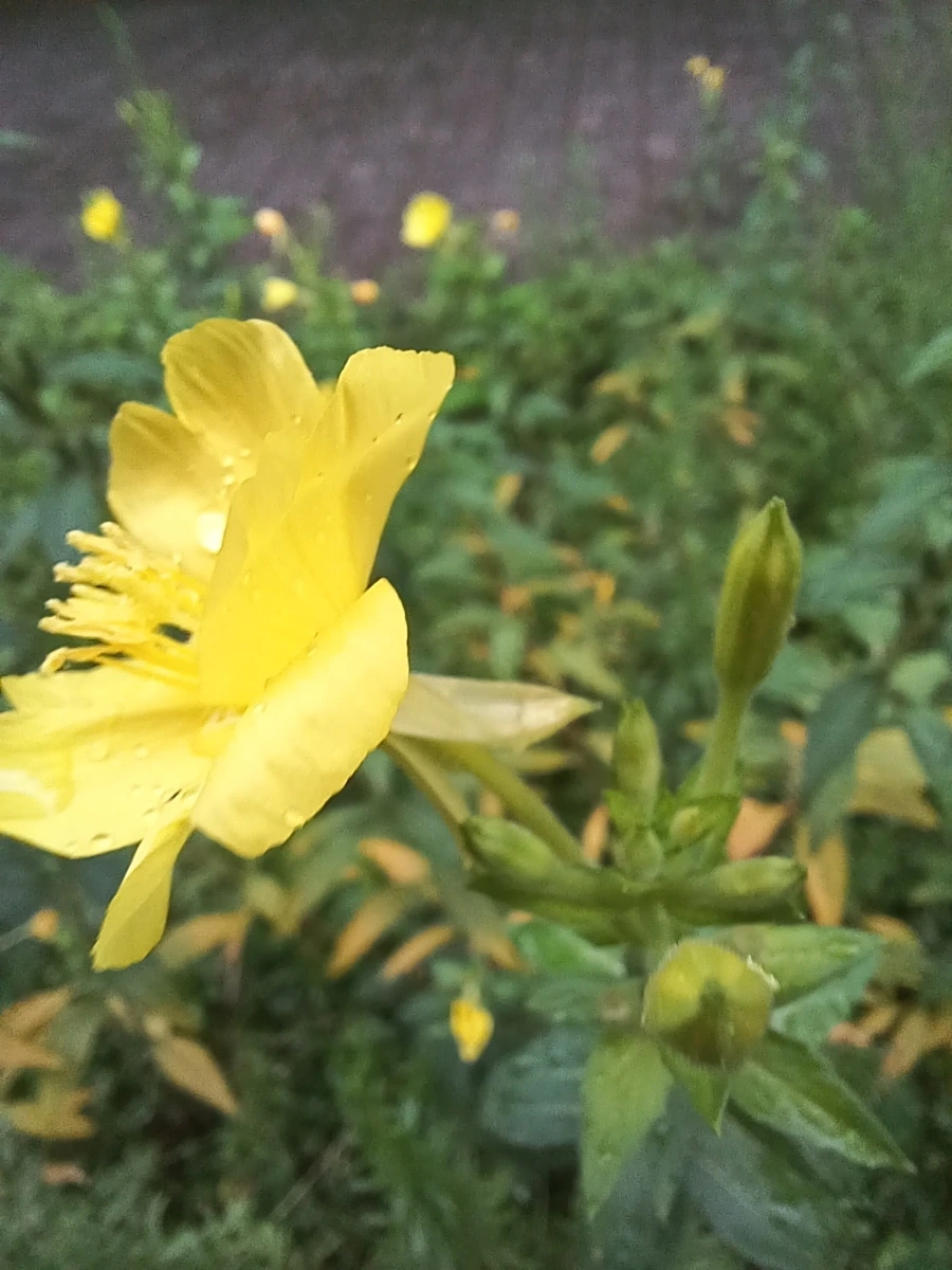 20220829%EF%BC%BF065426.jpg?type=w1