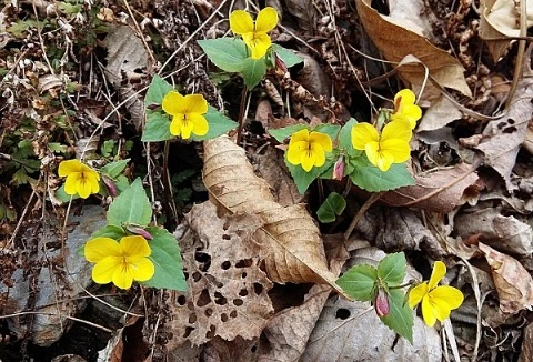 %EC%9B%B9_%EC%BA%A1%EC%B2%98_6-1-2023_1166_cafe.naver.com.jpeg?typew1