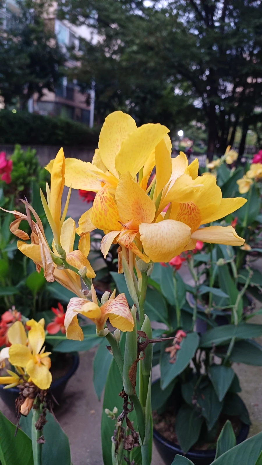 20220817%EF%BC%BF192449.jpg?type=w1