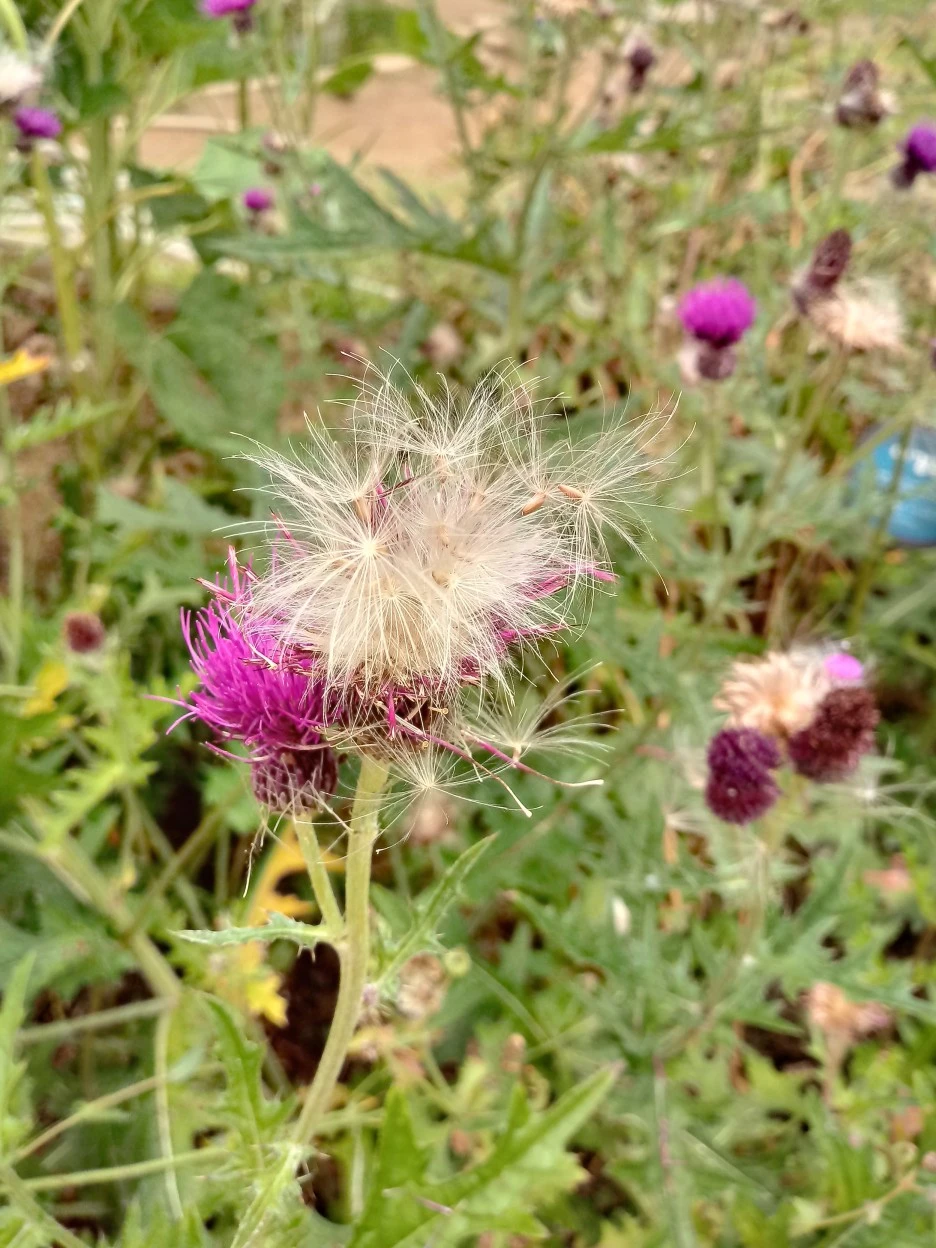 20180617_131117_HDR.jpg?type=w1