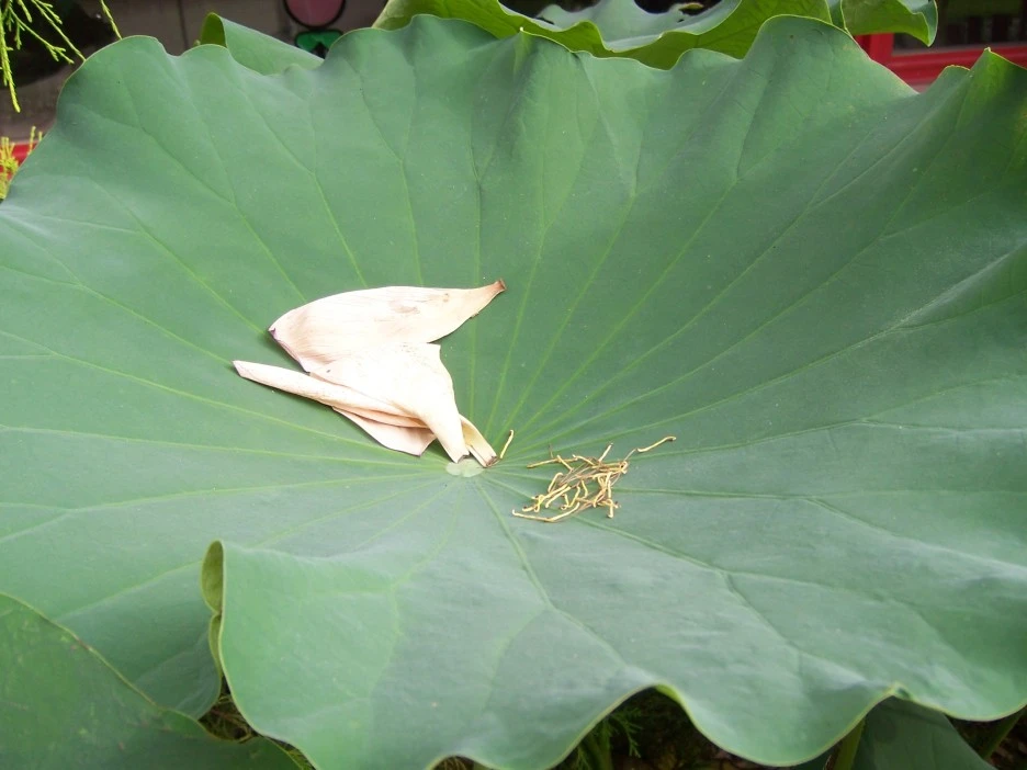 100_7073.jpg?type=w1