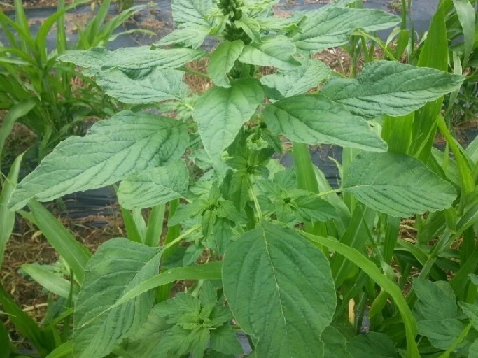 %EB%8B%A4%EC%9A%B4%EB%A1%9C%EB%93%9C_(2).jpg?type=w1